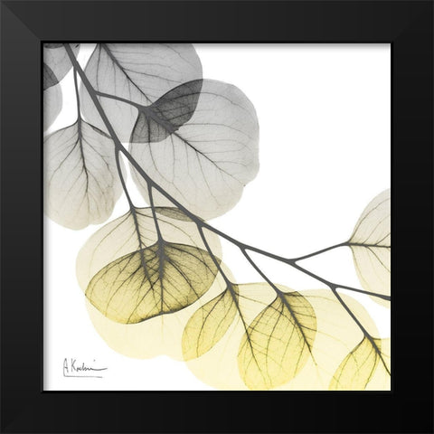 Brilliant Eucalyptus 2 Black Modern Wood Framed Art Print by Koetsier, Albert