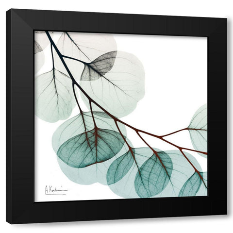 Extravagant Eucalyptus 2 Black Modern Wood Framed Art Print by Koetsier, Albert