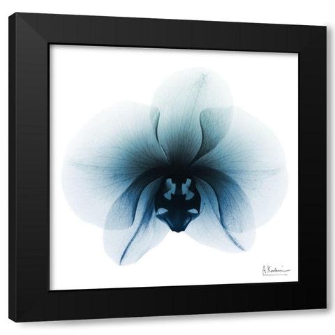 Glacial Orchid 1 Black Modern Wood Framed Art Print with Double Matting by Koetsier, Albert