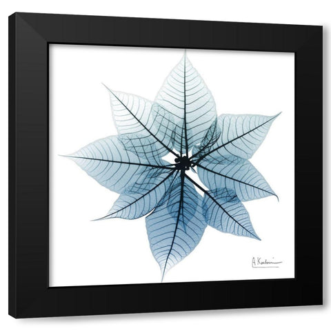 Iced Poinsettia 1 Black Modern Wood Framed Art Print with Double Matting by Koetsier, Albert