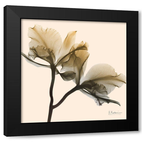 Neutral Twins 1 Black Modern Wood Framed Art Print with Double Matting by Koetsier, Albert