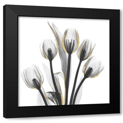 Gold Embellished Tulips 1 Black Modern Wood Framed Art Print with Double Matting by Koetsier, Albert