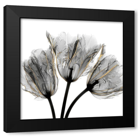 Gold Embellished Tulips 3 Black Modern Wood Framed Art Print by Koetsier, Albert