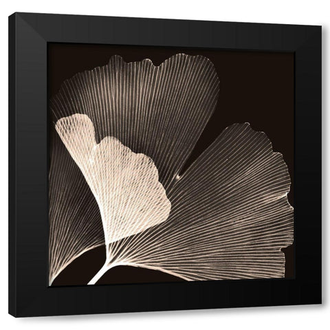 Cocoa Ginko Black Modern Wood Framed Art Print with Double Matting by Koetsier, Albert