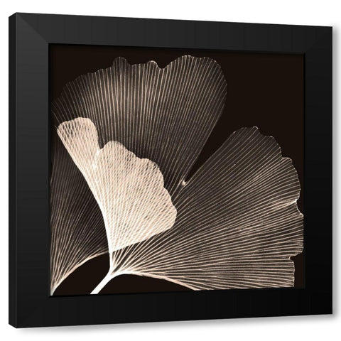 Cocoa Ginko Black Modern Wood Framed Art Print by Koetsier, Albert