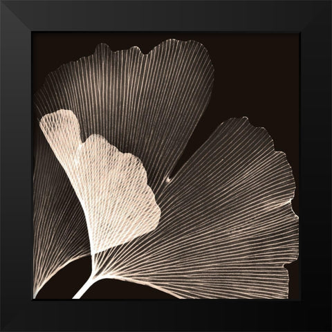 Cocoa Ginko Black Modern Wood Framed Art Print by Koetsier, Albert