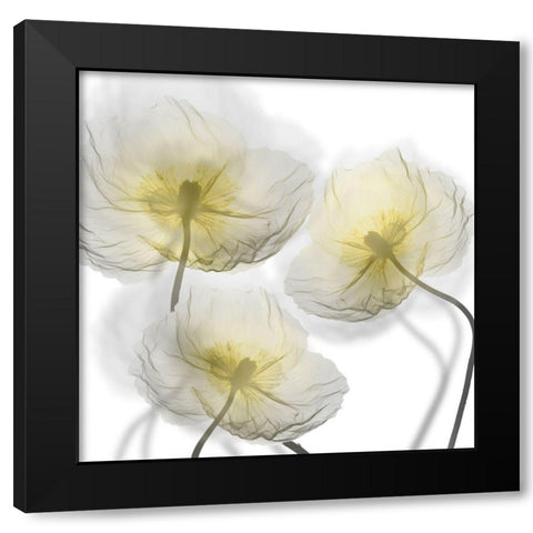 Unfocused Light 1 Black Modern Wood Framed Art Print by Koetsier, Albert