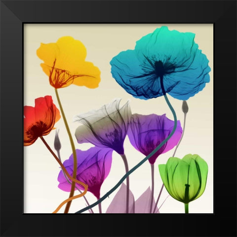 Floral Calm Pop Black Modern Wood Framed Art Print by Koetsier, Albert