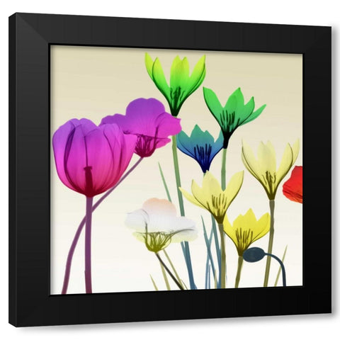 Floral Calm Pop Mate Black Modern Wood Framed Art Print with Double Matting by Koetsier, Albert