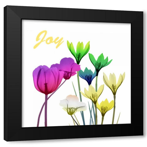 Floral Pop Joy Black Modern Wood Framed Art Print with Double Matting by Koetsier, Albert