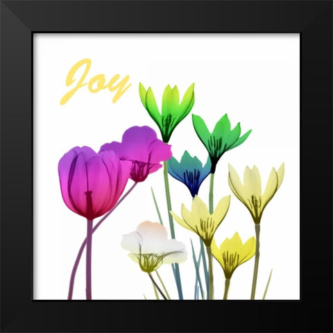 Floral Pop Joy Black Modern Wood Framed Art Print by Koetsier, Albert