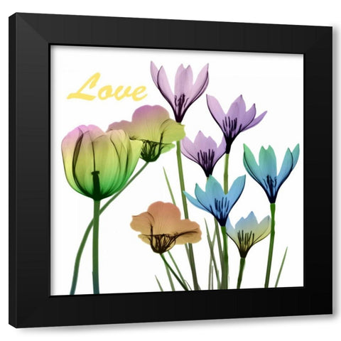 Floral Rainbow Love Black Modern Wood Framed Art Print with Double Matting by Koetsier, Albert