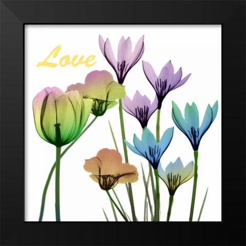 Floral Rainbow Love Black Modern Wood Framed Art Print by Koetsier, Albert