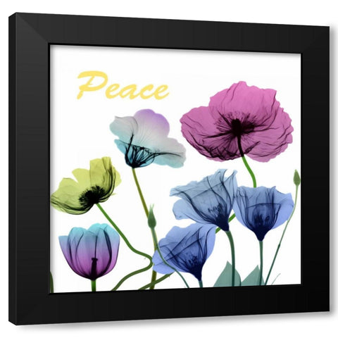 Floral Rainbow Peace Black Modern Wood Framed Art Print with Double Matting by Koetsier, Albert