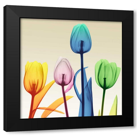 Floral Splurge 1 Black Modern Wood Framed Art Print with Double Matting by Koetsier, Albert