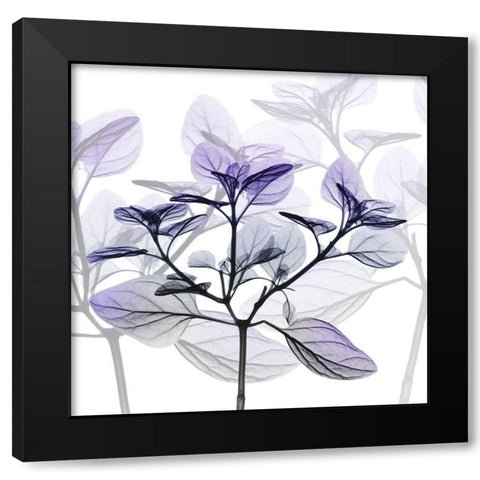 Delightful Pleasures 2 Black Modern Wood Framed Art Print with Double Matting by Koetsier, Albert