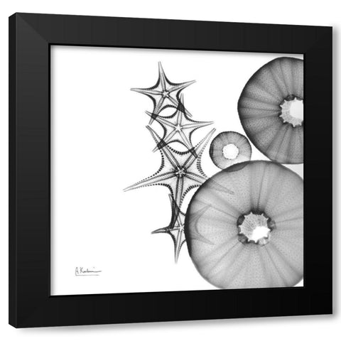 Aquatic Slice 1 Black Modern Wood Framed Art Print by Koetsier, Albert