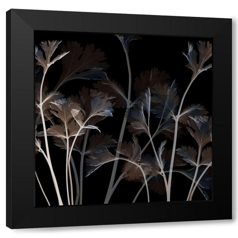 Amethyst Sweetness 1 Black Modern Wood Framed Art Print with Double Matting by Koetsier, Albert