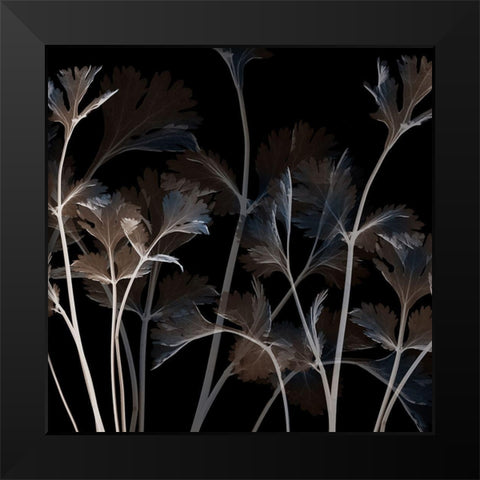 Amethyst Sweetness 1 Black Modern Wood Framed Art Print by Koetsier, Albert