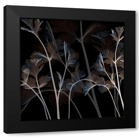 Amethyst Sweetness 2 Black Modern Wood Framed Art Print with Double Matting by Koetsier, Albert