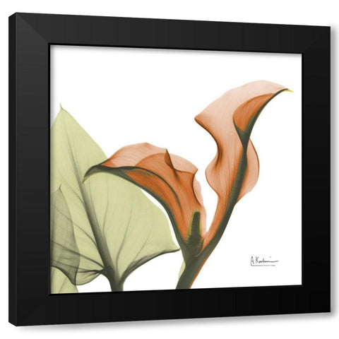 Crimson Calla L235 Black Modern Wood Framed Art Print with Double Matting by Koetsier, Albert