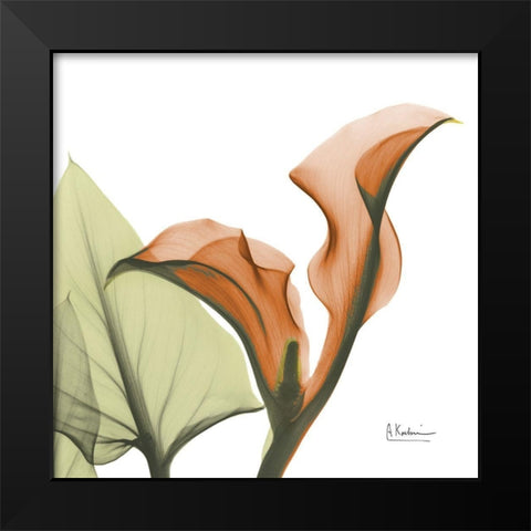 Crimson Calla L235 Black Modern Wood Framed Art Print by Koetsier, Albert