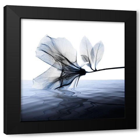 Ocean Scent 1 Black Modern Wood Framed Art Print with Double Matting by Koetsier, Albert