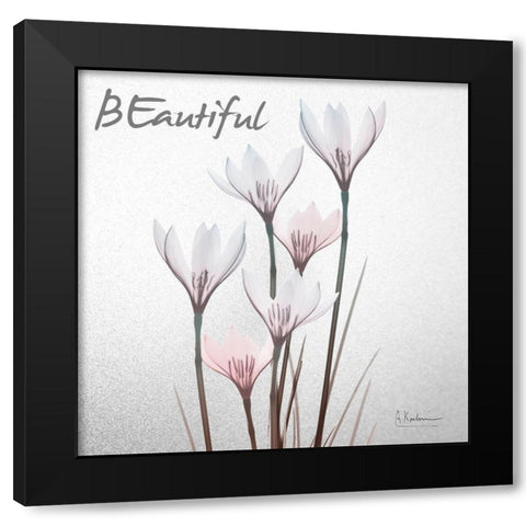 Beautiful White Rain Lily 1 Black Modern Wood Framed Art Print with Double Matting by Koetsier, Albert