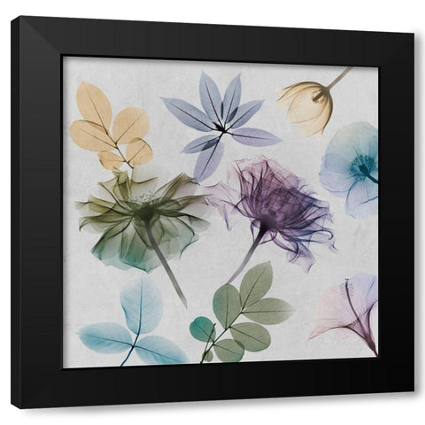 Floral Collage 1 Black Modern Wood Framed Art Print with Double Matting by Koetsier, Albert