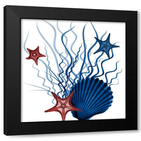 Nautical Resurgence 1 Black Modern Wood Framed Art Print with Double Matting by Koetsier, Albert