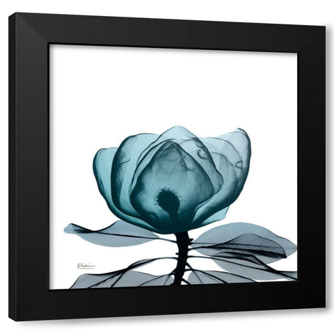 Midnight Magnolia 1 Black Modern Wood Framed Art Print with Double Matting by Koetsier, Albert