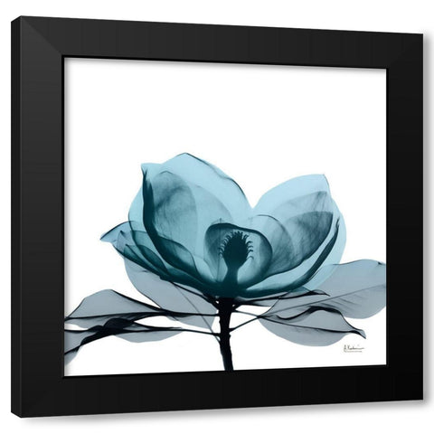 Midnight Magnolia 2 Black Modern Wood Framed Art Print with Double Matting by Koetsier, Albert