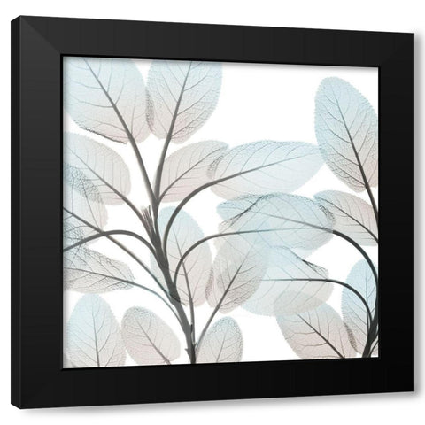 Sandy Blooms 1 Black Modern Wood Framed Art Print with Double Matting by Koetsier, Albert