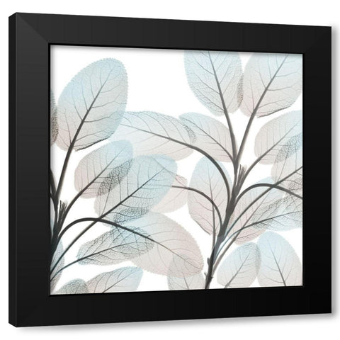 Sandy Blooms 2 Black Modern Wood Framed Art Print with Double Matting by Koetsier, Albert