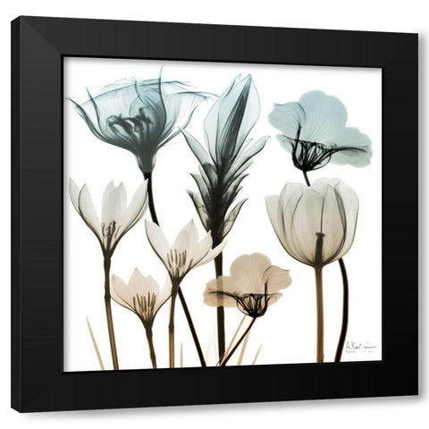 Sandy Floral Cluster 1 Black Modern Wood Framed Art Print with Double Matting by Koetsier, Albert