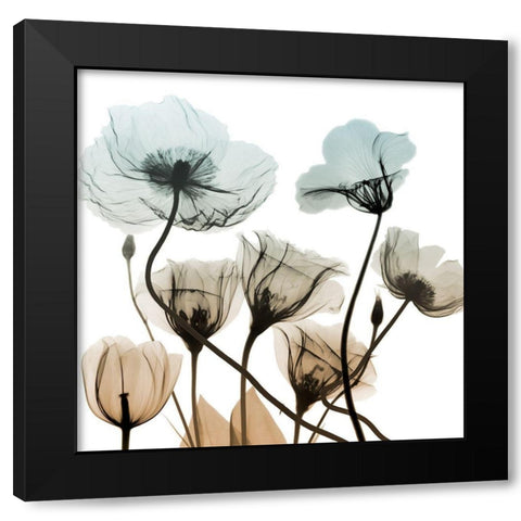 Sandy Floral Cluster 2 Black Modern Wood Framed Art Print with Double Matting by Koetsier, Albert