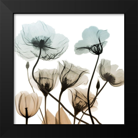 Sandy Floral Cluster 2 Black Modern Wood Framed Art Print by Koetsier, Albert