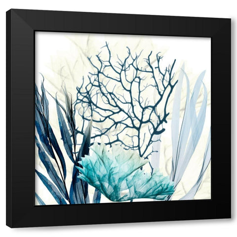 Ocean Floor Life 1 Black Modern Wood Framed Art Print by Koetsier, Albert