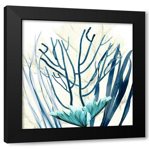 Ocean Floor Life 2 Black Modern Wood Framed Art Print with Double Matting by Koetsier, Albert