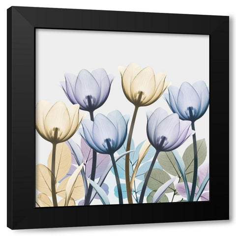 Tulip Collage 1 Black Modern Wood Framed Art Print with Double Matting by Koetsier, Albert