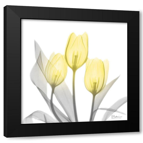 Brilliant Tulips 1 Black Modern Wood Framed Art Print with Double Matting by Koetsier, Albert
