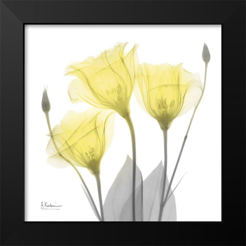 Brilliant Gentian Buddies 1 Black Modern Wood Framed Art Print by Koetsier, Albert