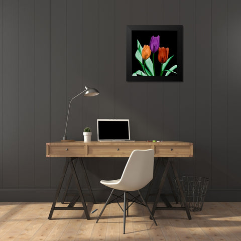Jeweled Tulips 3 Black Modern Wood Framed Art Print by Koetsier, Albert