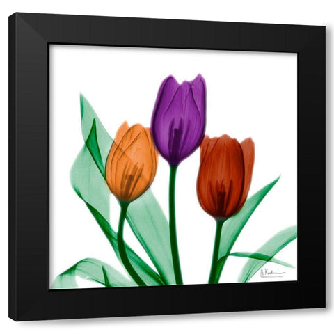 Jeweled Tulips 1 Black Modern Wood Framed Art Print with Double Matting by Koetsier, Albert