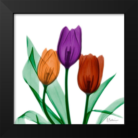 Jeweled Tulips 1 Black Modern Wood Framed Art Print by Koetsier, Albert