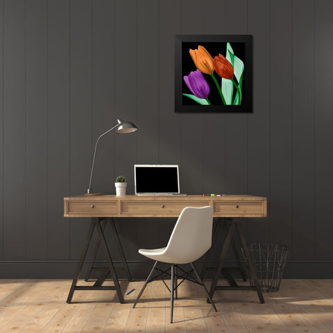 Jeweled Tulips 4 Black Modern Wood Framed Art Print by Koetsier, Albert