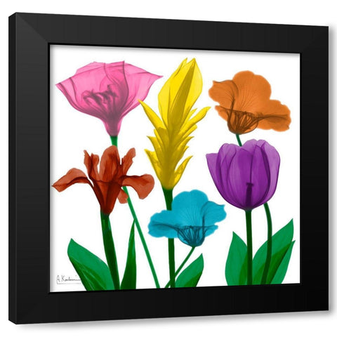 Jewel Floral Cluster 1 Black Modern Wood Framed Art Print by Koetsier, Albert