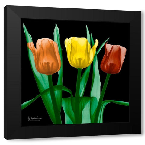 Jewel Embellished Tulips 4 Black Modern Wood Framed Art Print by Koetsier, Albert