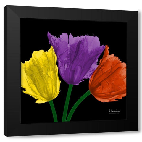 Shiny Jewel Tulips 3 Black Modern Wood Framed Art Print with Double Matting by Koetsier, Albert