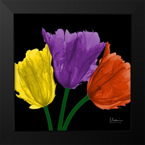 Shiny Jewel Tulips 3 Black Modern Wood Framed Art Print by Koetsier, Albert